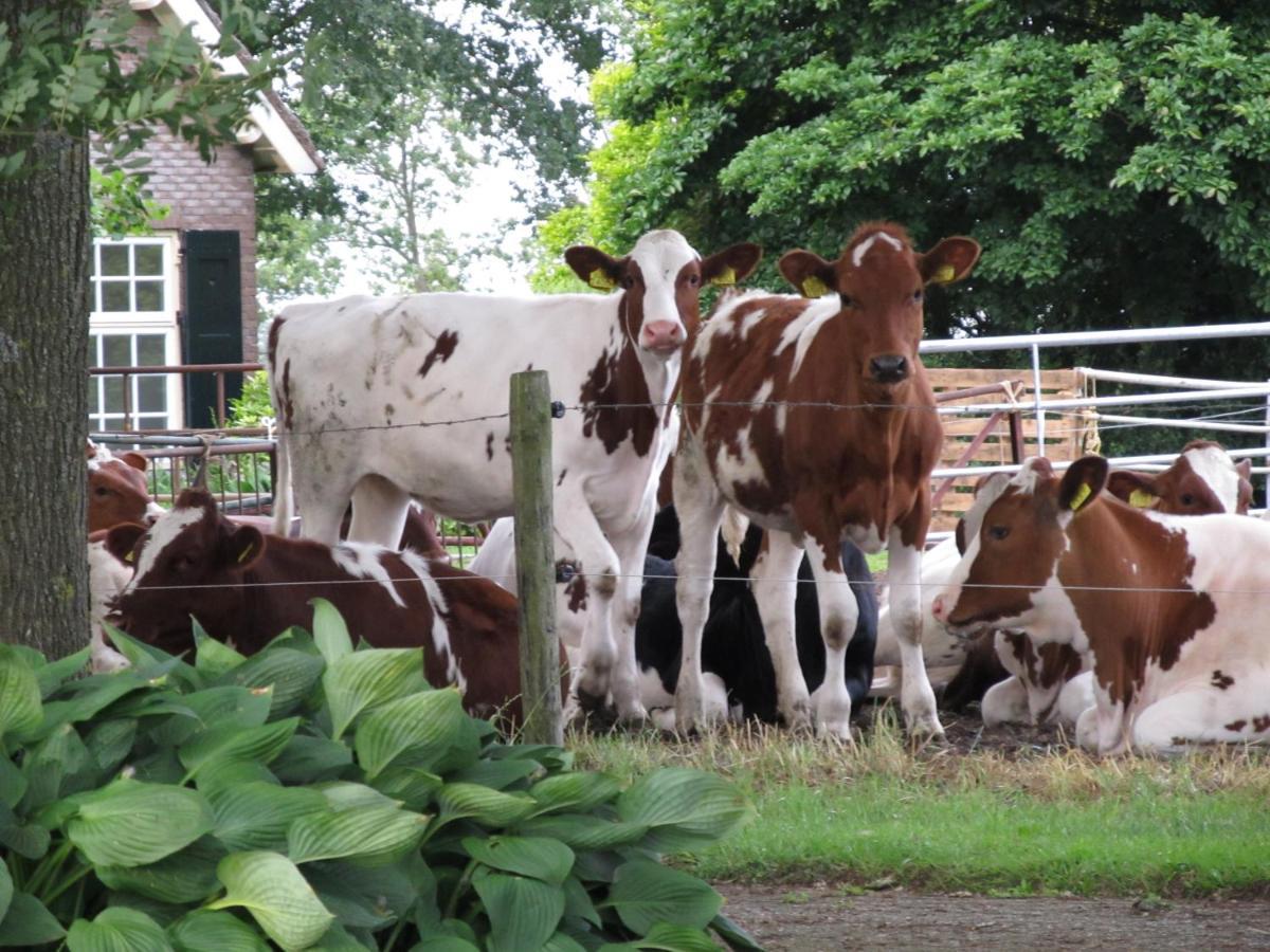 Ferienwohnung Boerderij De Aarnink Heeten Exterior foto