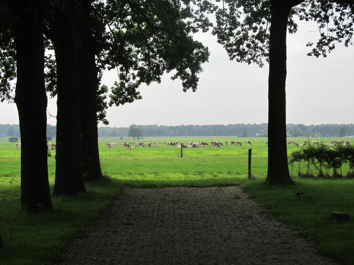 Ferienwohnung Boerderij De Aarnink Heeten Exterior foto